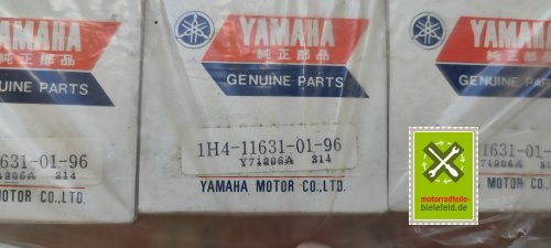 IMG_20230826_164946